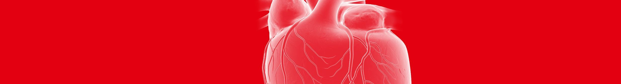 Therapiegebiet Herz-Kreislauf – Detailaufnahme eines menschlichen Herzens
