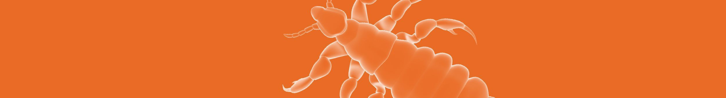 Pohl-Boskamp Therapiegebiete – Fokus auf Kopfläuse Therapiegebiete bei Kopfläusen – Mikroskopische Darstellung einer Kopflaus